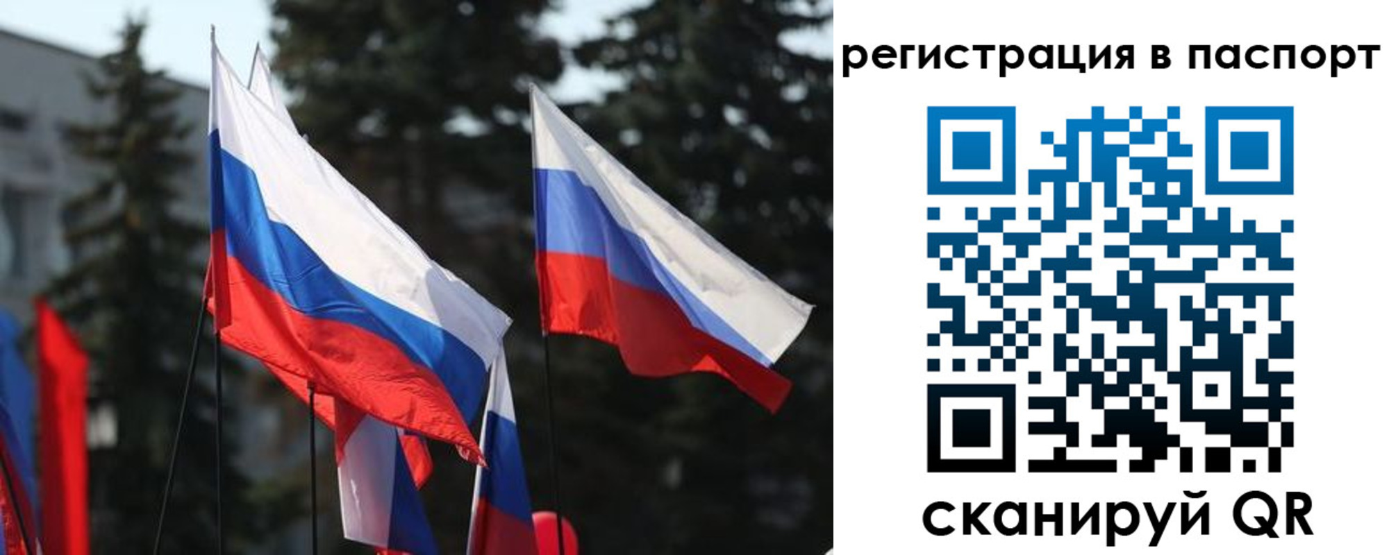 прописка штамп в Сафоново