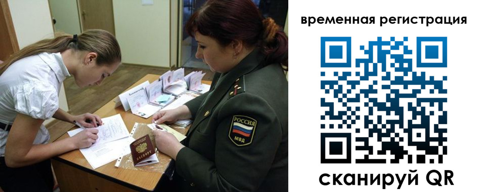прописка гарантия в Сафоново